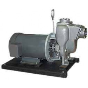 5 HP Single Phase Electric Engine Stainless Steel Pump with 2" NPT