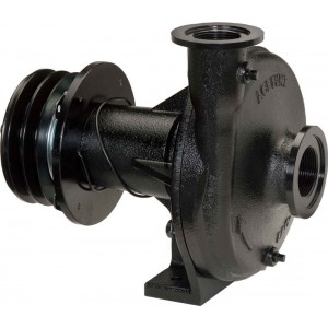 Belt Driven E-coated Cast Iron Pump with 220 Flange Suction x 200 Flange Discharge